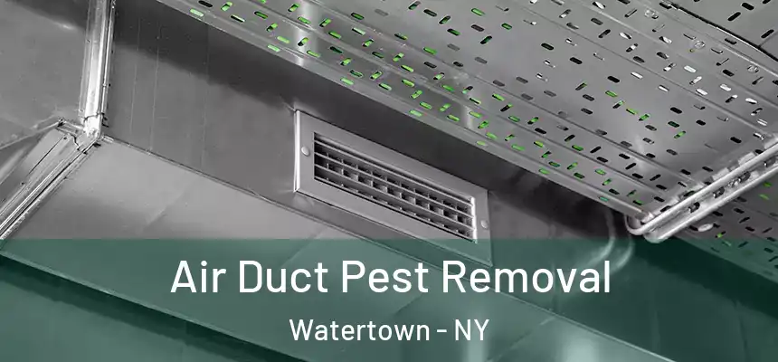  Air Duct Pest Removal Watertown - NY