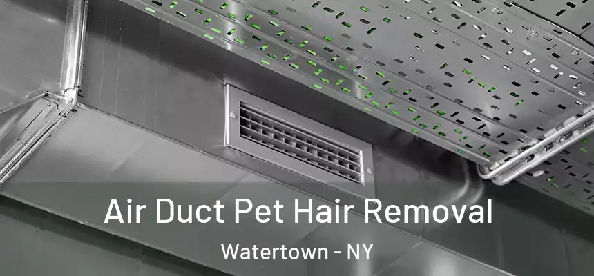 Air Duct Pet Hair Removal Watertown - NY