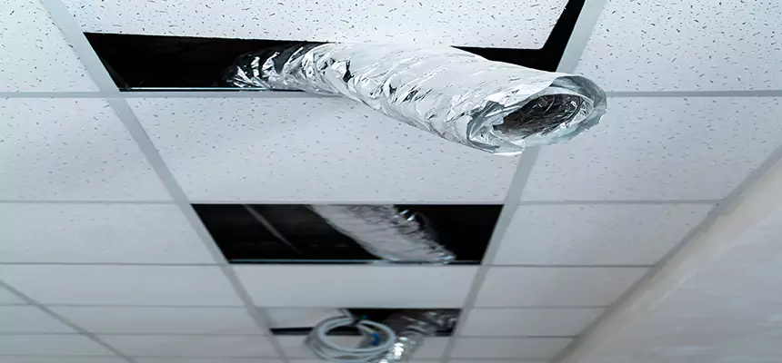 Our Air Duct Pet Hair Removal Services in Watertown, NY