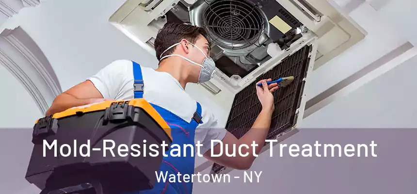  Mold-Resistant Duct Treatment Watertown - NY