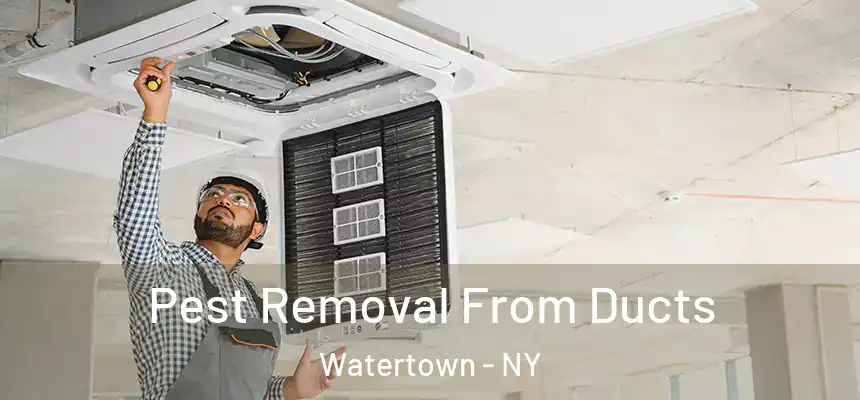  Pest Removal From Ducts Watertown - NY