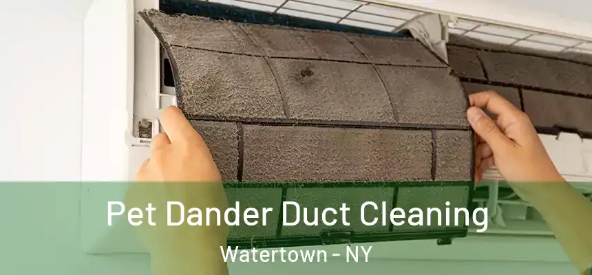  Pet Dander Duct Cleaning Watertown - NY