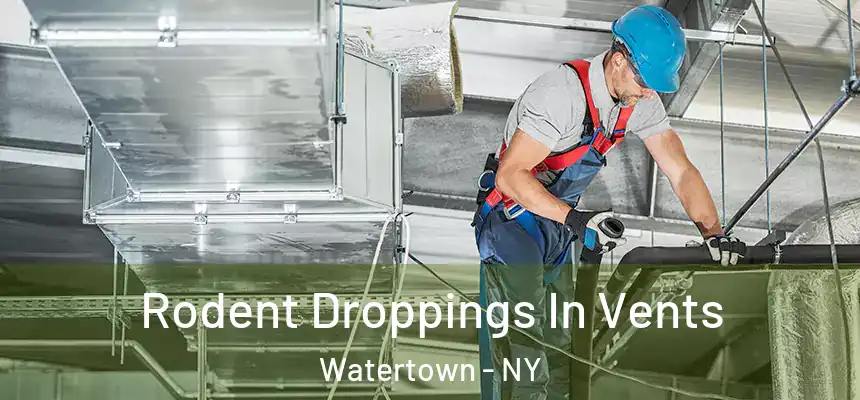  Rodent Droppings In Vents Watertown - NY