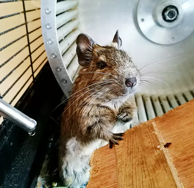 Why Homeowners & Businesses Trust Us Watertown, NY?